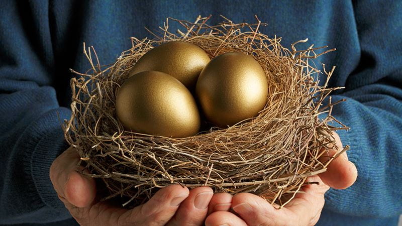 Person holding their retirement nest eggs